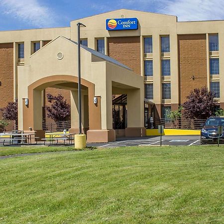 Comfort Inn Wethersfield - Hartford Exteriör bild