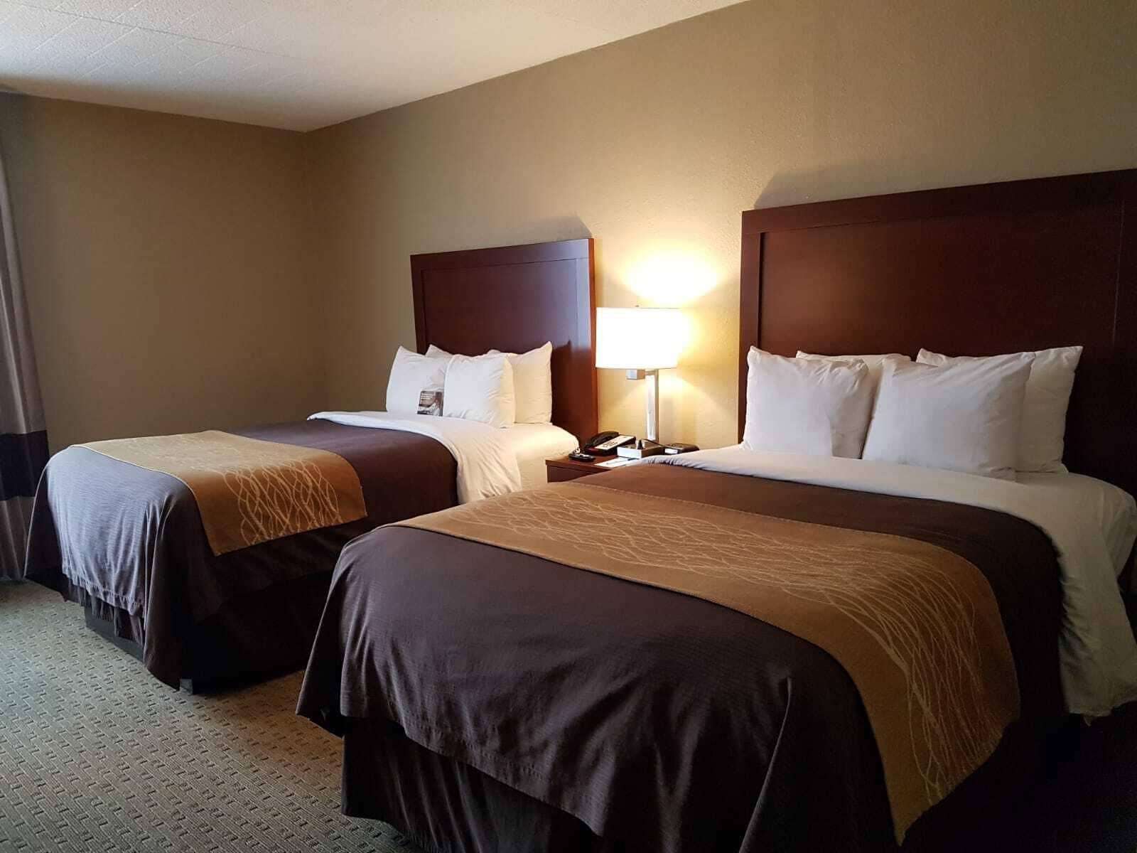 Comfort Inn Wethersfield - Hartford Exteriör bild